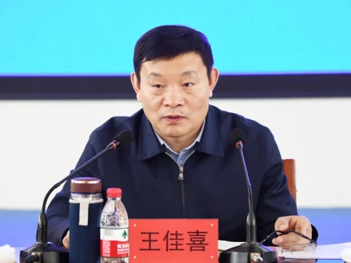 王佳喜在集团公司全国两会期间安全督导总结及国务院安