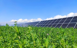 ΢��ͼƬ_20230727231338