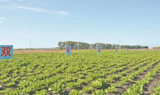 ΢��ͼƬ_20241103175204