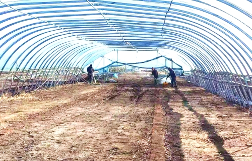 微信图片_20210330110447