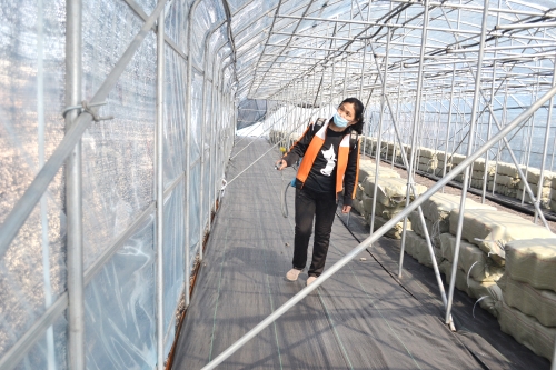 微信图片_20210507145238