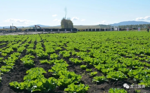 微信图片_20220921075911 微信图片_20220921075911