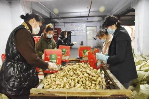 微信图片_20221117093709