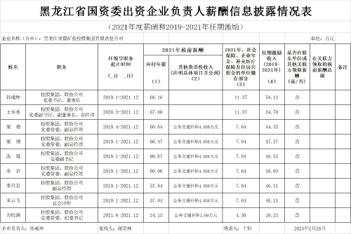 龙煤集团负责人薪酬信息披露情况表（2021年度薪酬和2019-2021年任期激励)