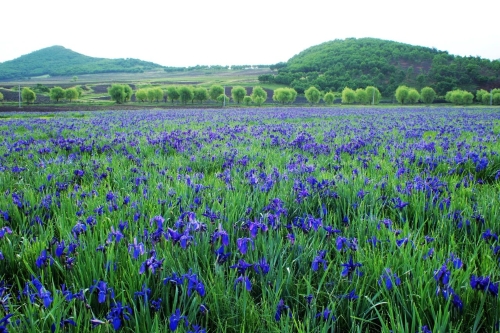 微信图片_20230409181012