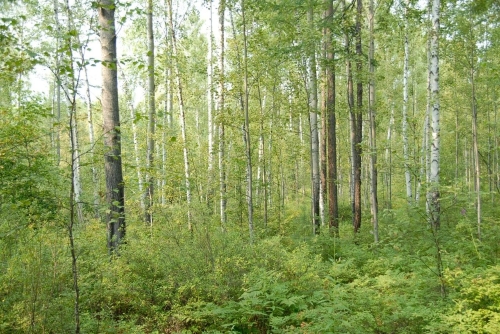 微信图片_20230409181018