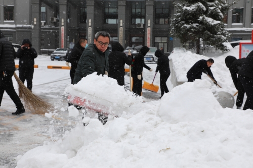 公司清雪 公司清雪