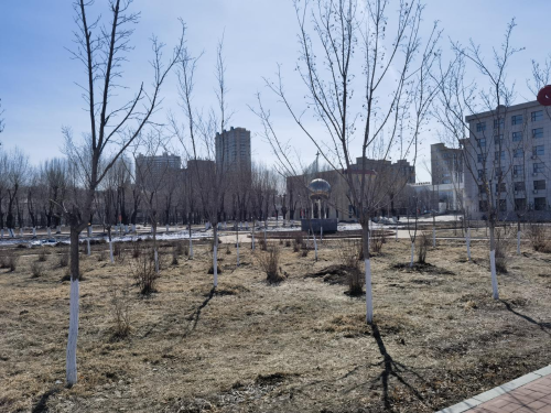 微信图片_20240402192036