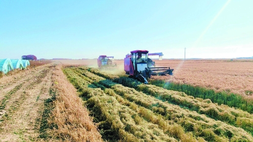 微信图片_20241025140125 微信图片_20241025140125