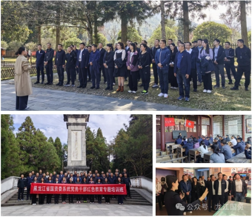 微信图片_20241104200851