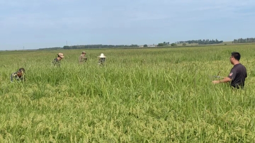 微信图片_2025-09-15_122617_096 微信图片_2025-09-15_122617_096