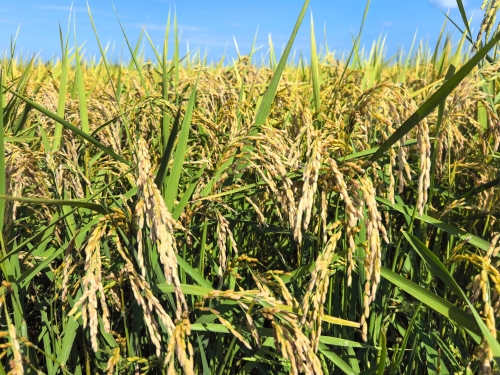 微信图片_2025-09-15_122620_292 微信图片_2025-09-15_122620_292