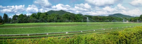 微信图片_2025-12-25_210619_750